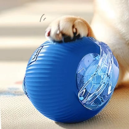 Interactive Cat Rolling Ball Toy
