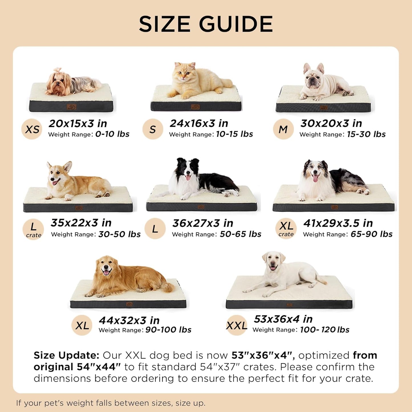 Bedsure Dog Bed Medium Size Dog - Comfy Flat Puppy Beds with Removable Washable Cover, Orthopedic Egg Crate Foam Pet Mat, Suitable for Pet up to 30 Lbs