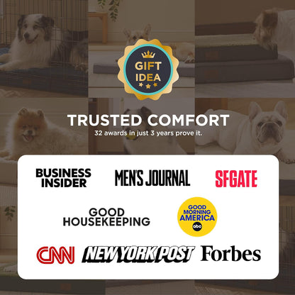 Bedsure Dog Bed Medium Size Dog - Comfy Flat Puppy Beds with Removable Washable Cover, Orthopedic Egg Crate Foam Pet Mat, Suitable for Pet up to 30 Lbs