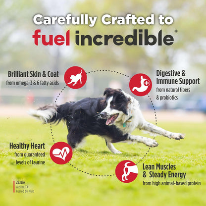 Adult Dog Food: Grain Free, All Natural Dry Pet Kibble for Large and Small Breed Dogs - Lamb, Salmon, or Turkey Recipe