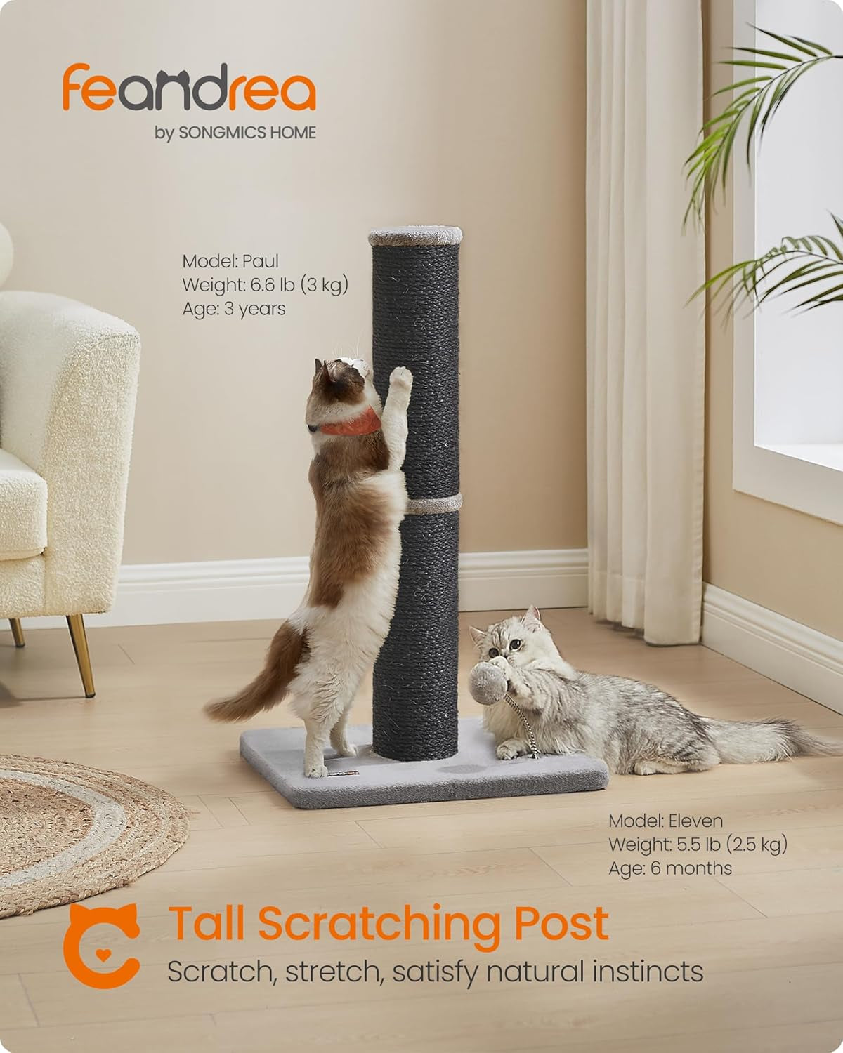 Cat Scratching Post Sisal